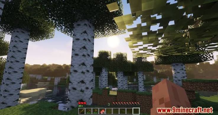 First-person Minecraft view of a birch forest with a low-health HUD and basic items