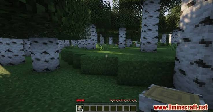 Minecraft player holding a birch log in a shaded birch forest
