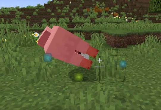Minecraft pig taking damage near green and blue experience-like orbs in a grassy field